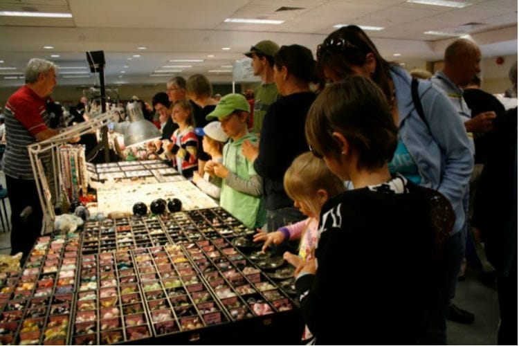 Gemcraft and Mineral Show patrons