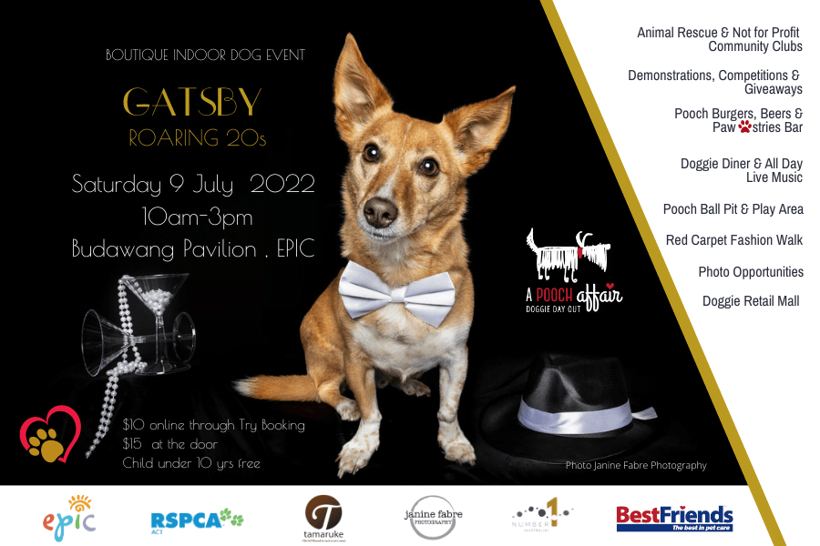 A Pooch Affair – July 2022 A Pooch Affair - July 2022