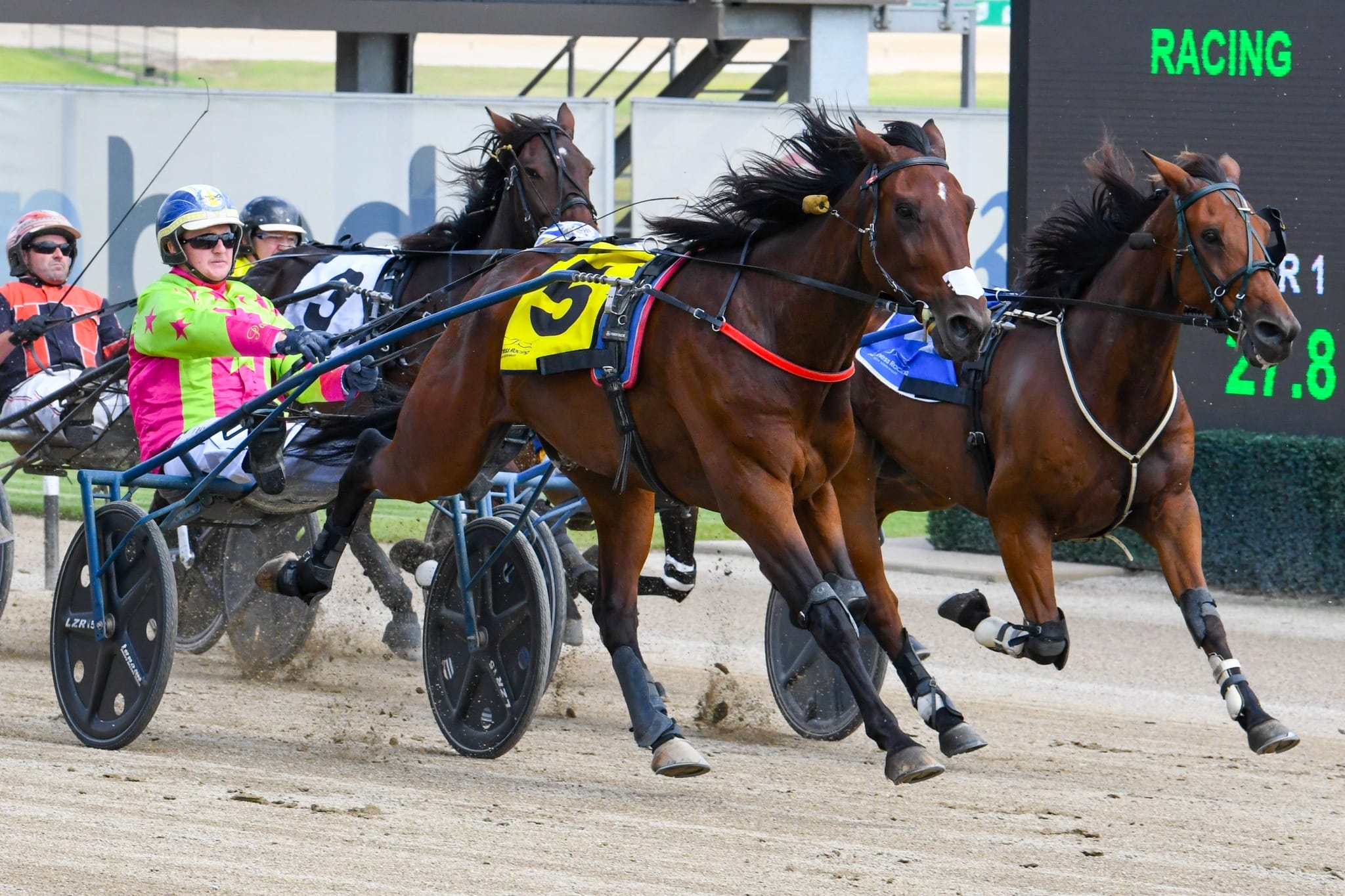 ACT Harness racing at EPIC