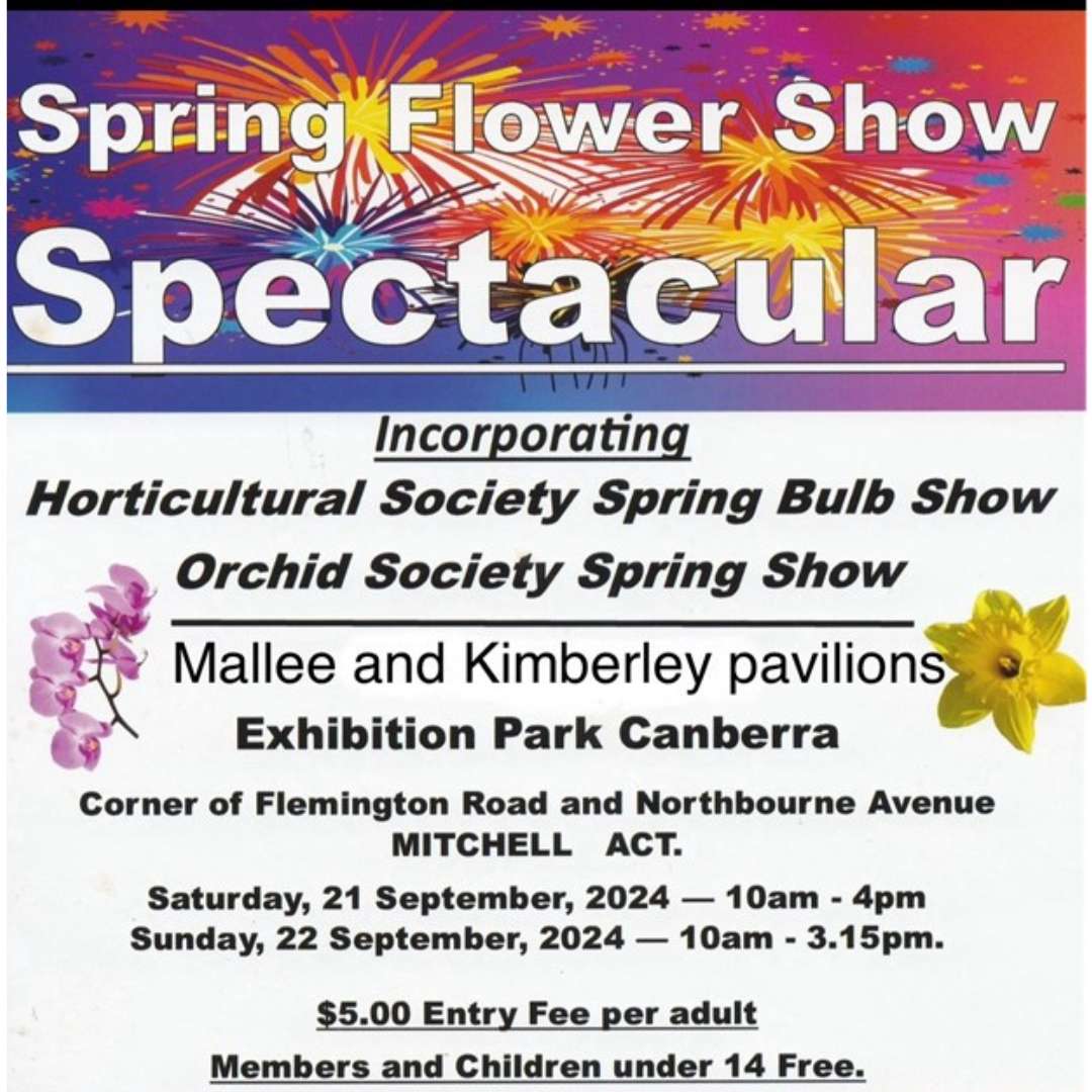 Spring Flower Show