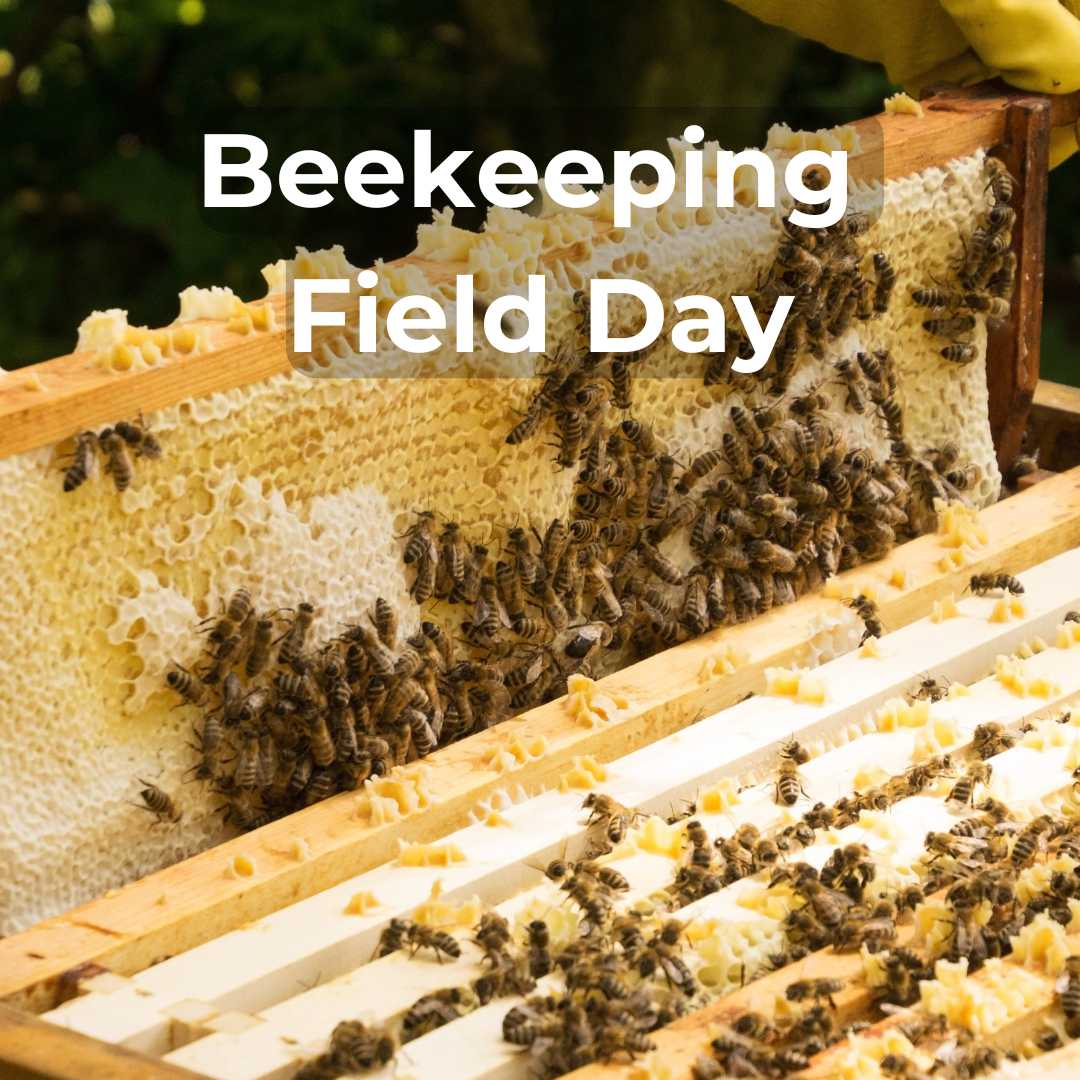 Beekeeping Field Day